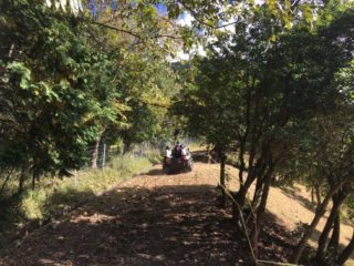 11月3日(土)兵庫県スポニックパークいちのみやで開催された「いちのみやふるさとまつり」にARGOを出展いたしました。